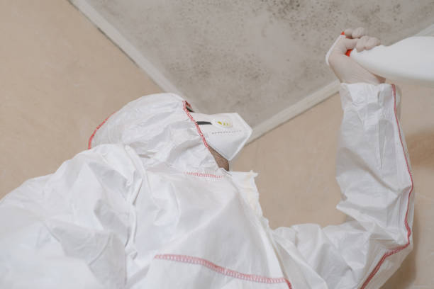Best Professional Mold Removal  in Bridgeport, AL