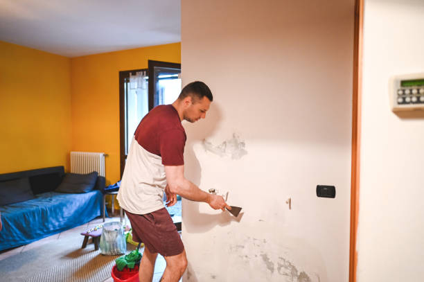Best Best Mold Removal Companies  in Bridgeport, AL